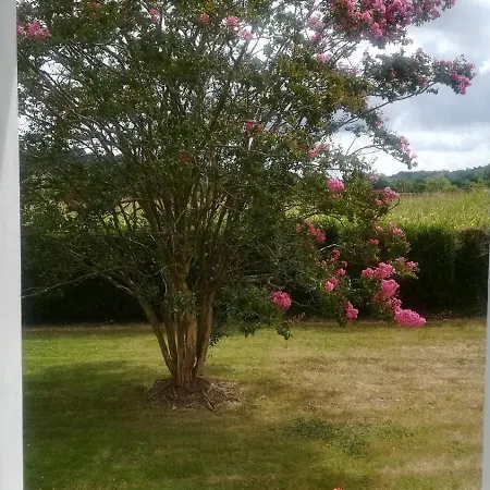 Cosy Pivoine - Magnifique Sur 3000 M2 Arbore Avec Jacuzzi Saint-Armou
